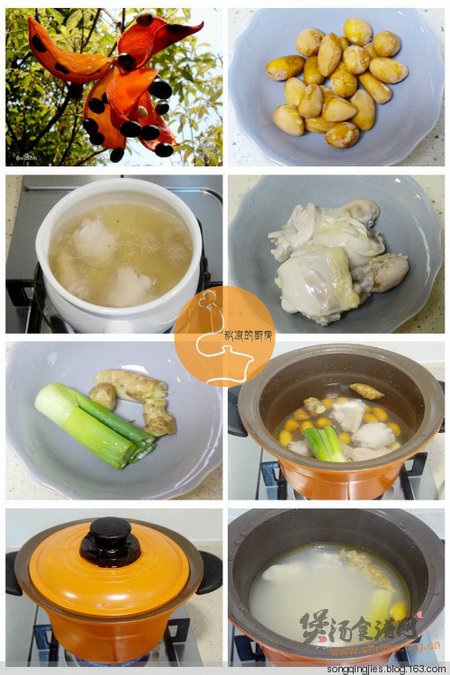 凤眼果鸡腿汤的做法