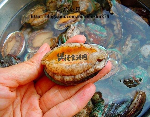 鲜鲍鱼仔鸡汤的做法