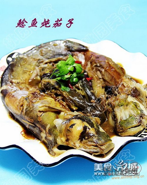 鲶鱼炖茄子怎么做的做法