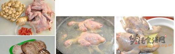 双菇炖乳鸽的做法