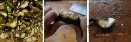 菱角蘑菇鲜鸡汤的做法