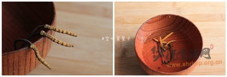 虫草煎汤的做法