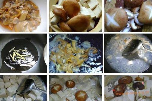 河蚌豆腐煲的做法