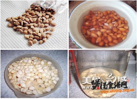 豆浆机版杏仁露的做法