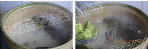 沙锅鲫鱼蚕豆汤的做法