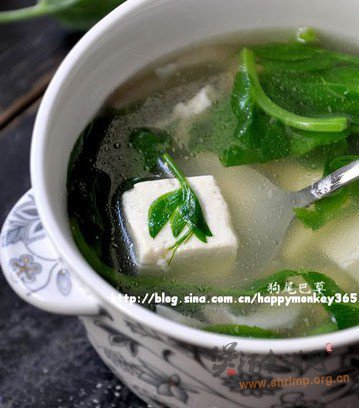豌豆蘑菇豆腐汤的做法