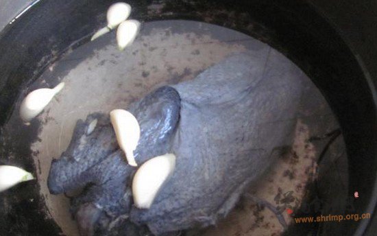 养生乌鸡粥的做法