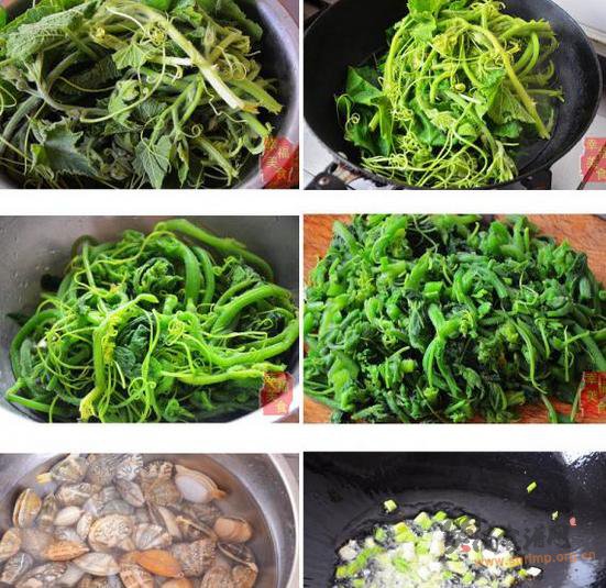 南瓜蔓炖蛤蜊的做法