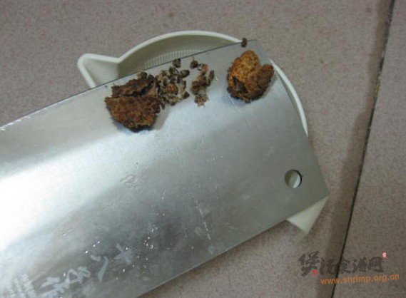 白术砂仁粥的做法