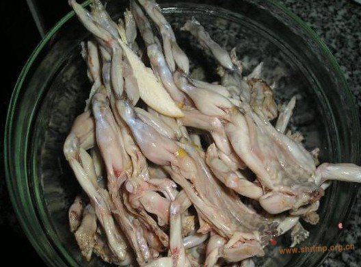蟾蜍乌龟汤的做法