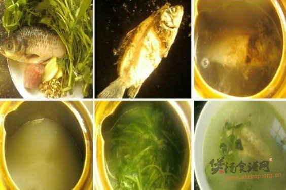 西洋菜鲫鱼汤的做法