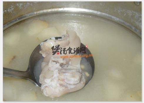 美容猪手汤的做法