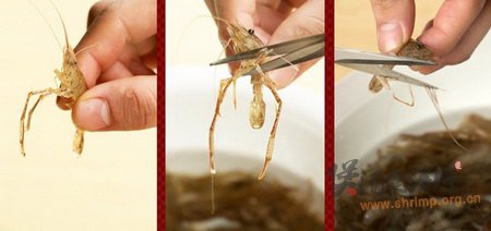 河虾煮丝瓜的做法