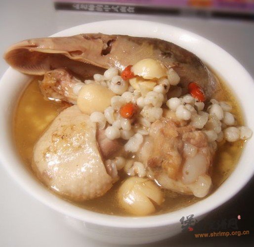 莲子薏米煲鸭汤的做法