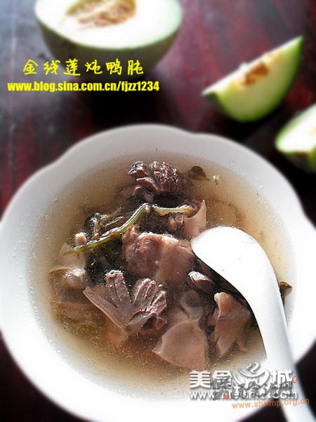 金线莲炖鸭肫的做法
