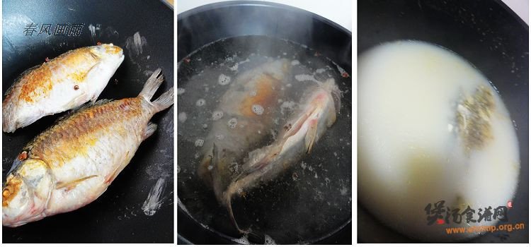 鲫鱼萝卜汤怎么做的做法