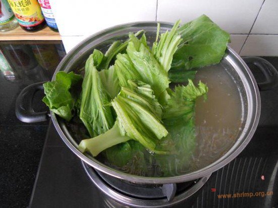 水东芥菜煲烧猪骨的做法