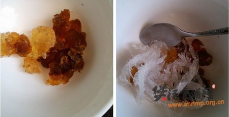 燕窝桃胶滋补汤的做法