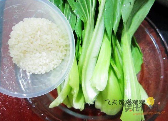 小白菜粥的做法
