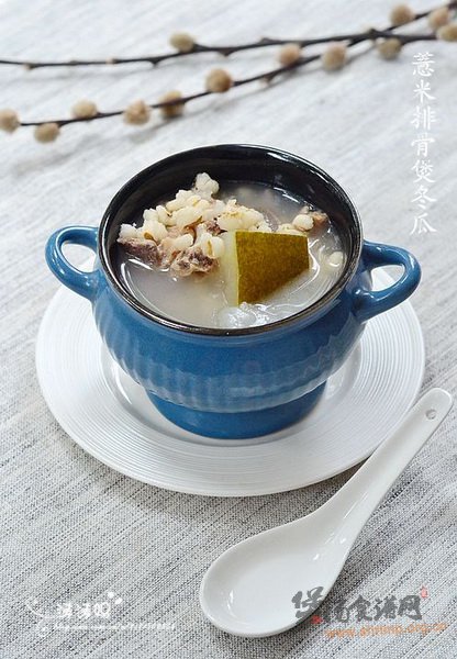 薏米冬瓜煲排骨的做法