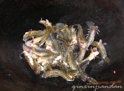 霖哥鱼节瓜汤的做法