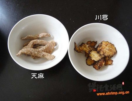 鱼头火锅的做法