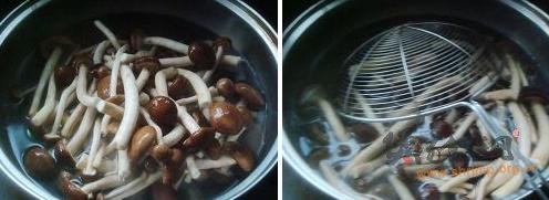 茶树菇炖肉的做法