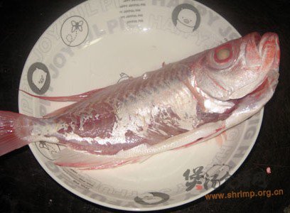 大眼鸡凉瓜汤的做法