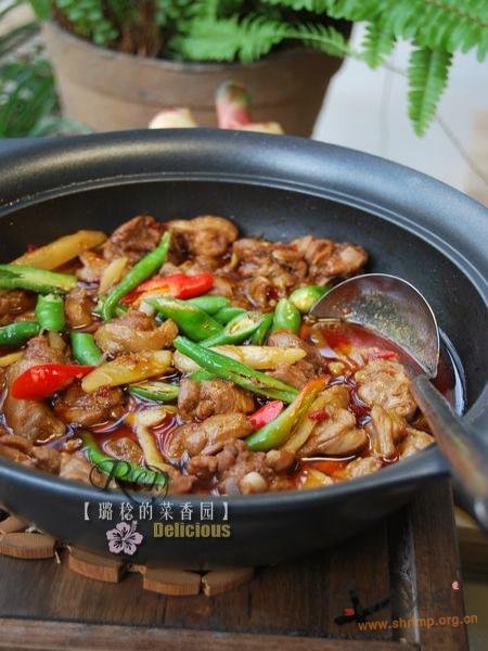 子姜焖鸭煲的做法