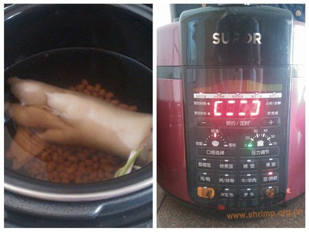 花生黄豆猪蹄汤的做法