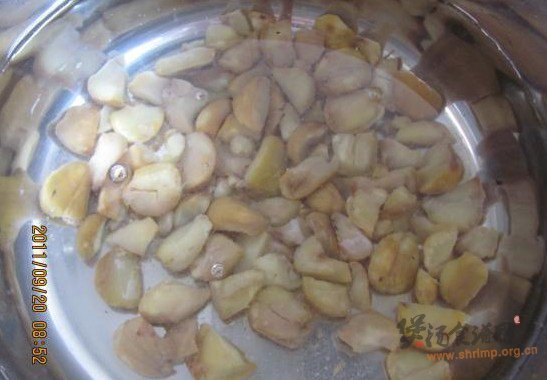 养生小米栗子粥的做法
