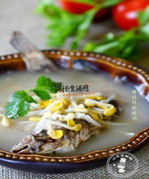 黄豆芽鲶鱼汤的做法