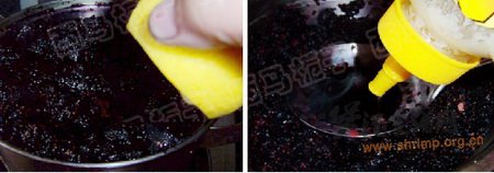 桑葚果汁的做法