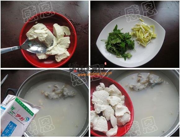 奶汤鱼头汤的做法