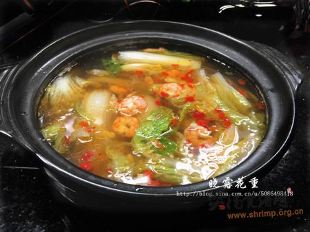砂锅虾仁煮白菜的做法