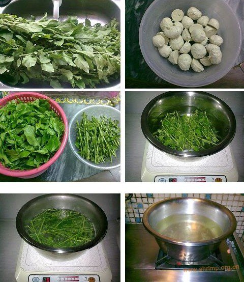 枸杞肉丸汤的做法