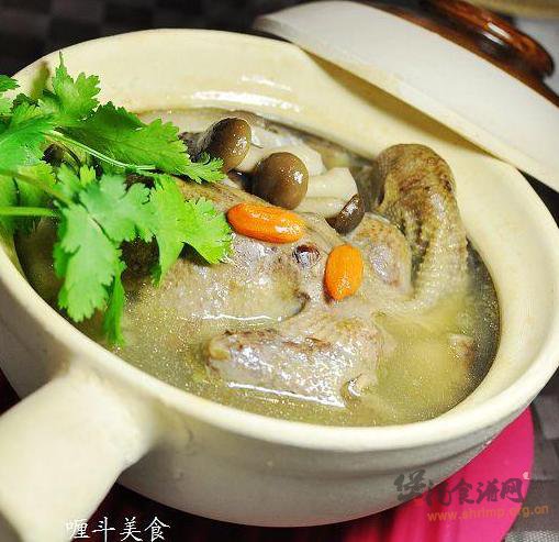 双菇炖乳鸽的做法