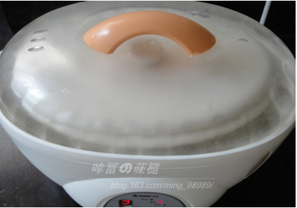 沙参玉竹炖老鸽的做法