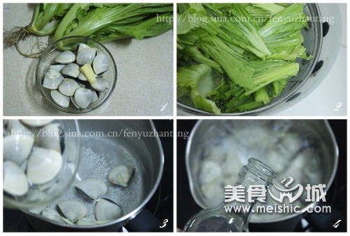 沙白芥菜汤的做法
