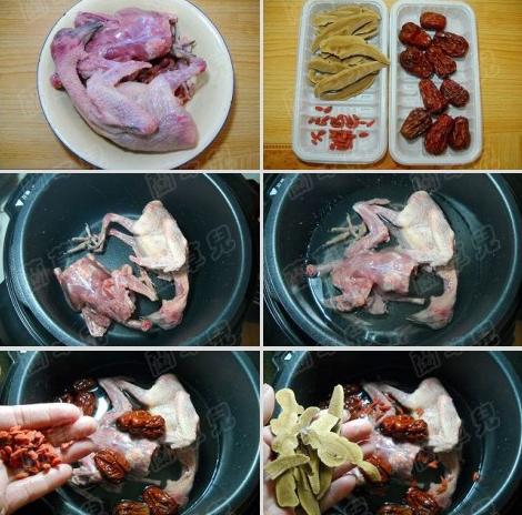 灵芝杞枣炖乳鸽的做法