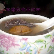 青橄榄煲猪肺汤的做法 青橄榄煲猪肺汤的做法