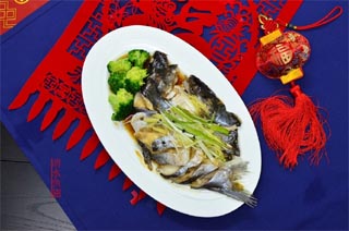 开背巴沙鱼