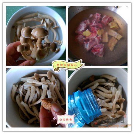 鹿茸菇猪骨汤的做法
