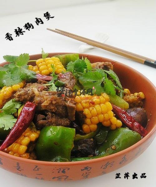 香辣狗肉煲的做法