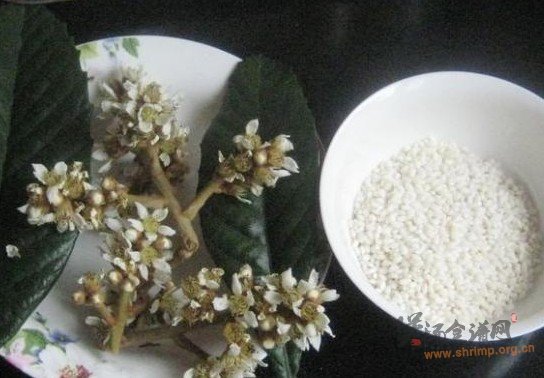 枇杷花糯米粥的做法