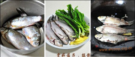 岩葱鲫鱼汤的做法