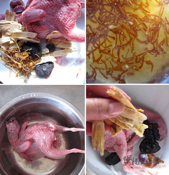 虫草花黄精炖鹌鹑的做法