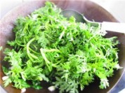 蒜茸苦菊的做法