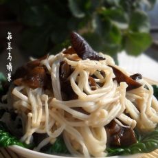 美味素菜之菇耳乌塌菜的做法 美味素菜之菇耳乌塌菜的做法