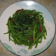 麻辣茼蒿的做法 麻辣茼蒿的做法